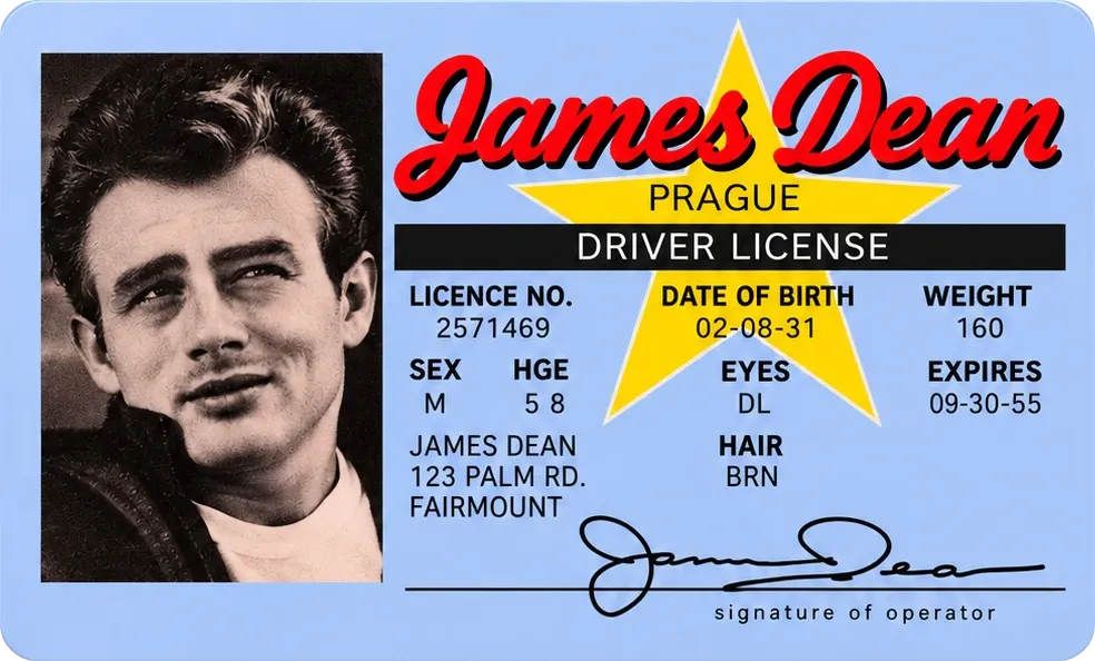 Driver’s License s fotkou Jamese Deana